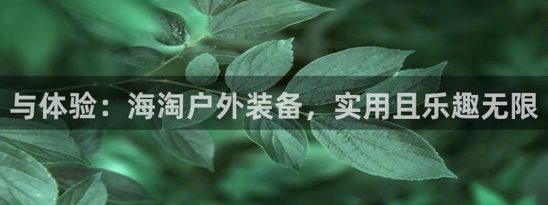 新宝GG用哪个网址登录