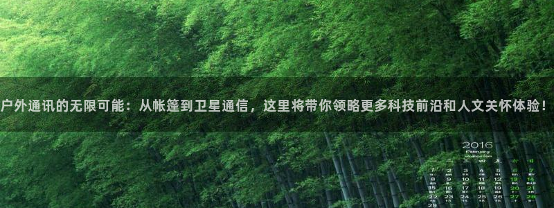 新宝gg挂机软件下载