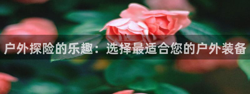 新宝gg画