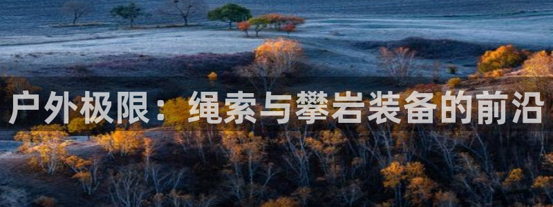 新宝 -gg登录