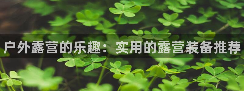 新宝gg网点