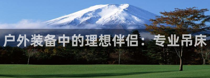新宝gg网站