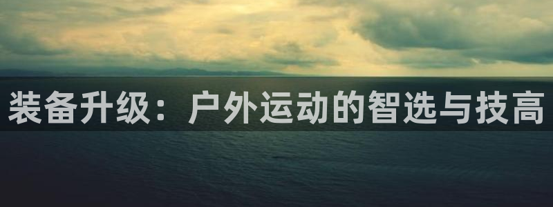 新宝gg盈亏