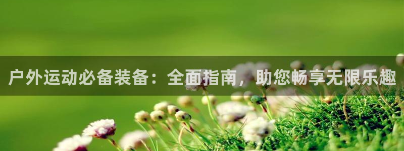 新宝gg漏洞