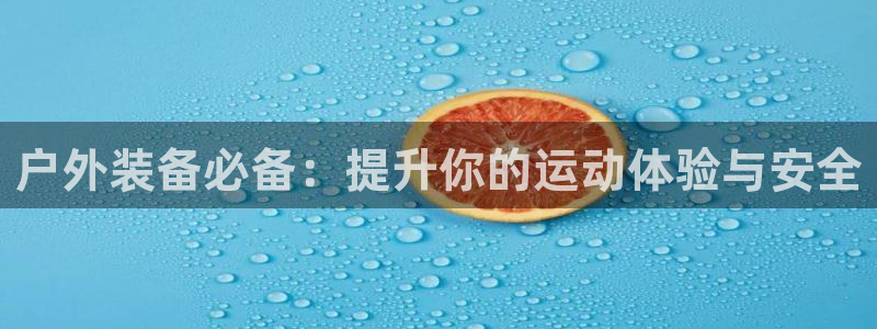 新宝gg赚钱