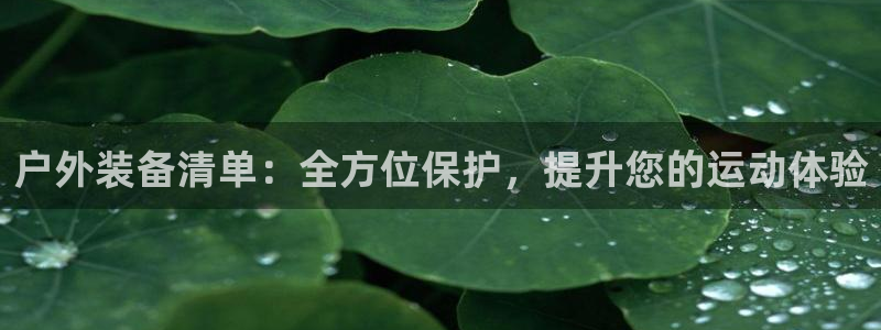 新宝gg辅助