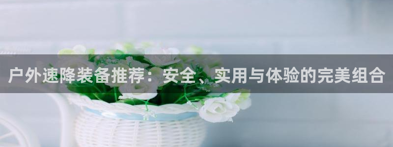新宝gg109