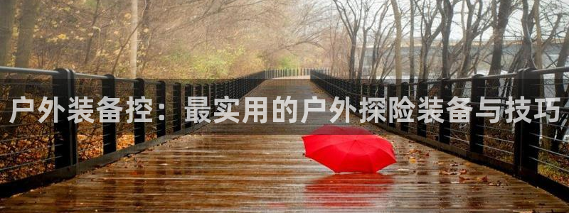 新宝gg可靠