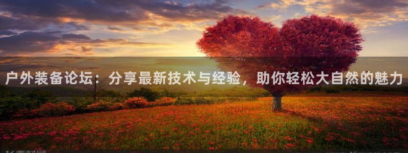 正版新宝gg