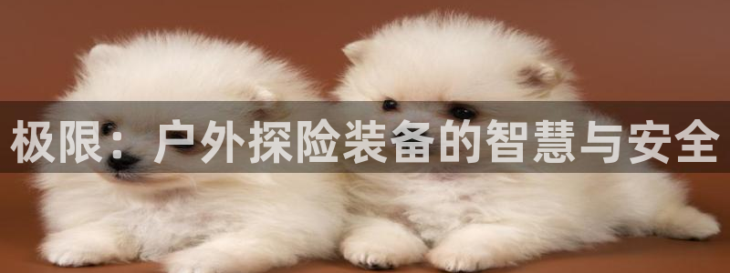 新宝gg娱乐注册-全芏网