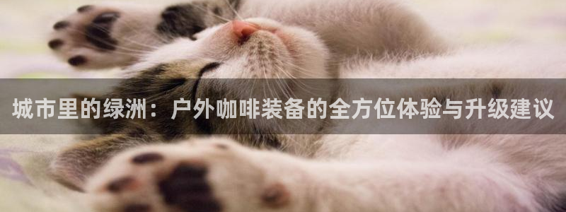 新宝gg联系