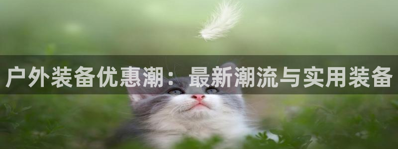 新宝gg平台下载安装