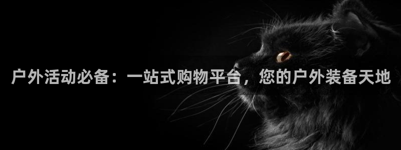 新宝GG管理