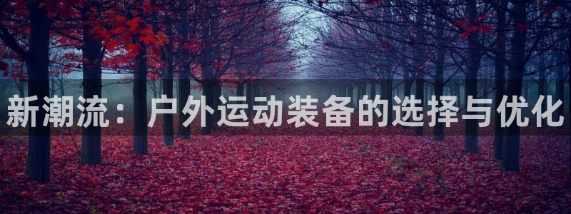 新宝gg登陆