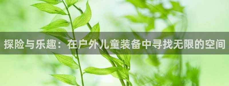 新宝gg手机登录官网