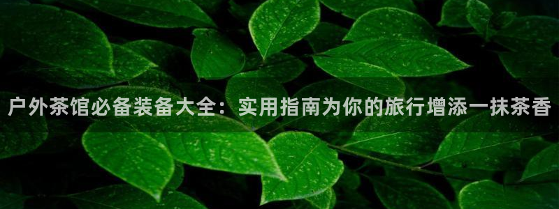 新宝gg登录网址