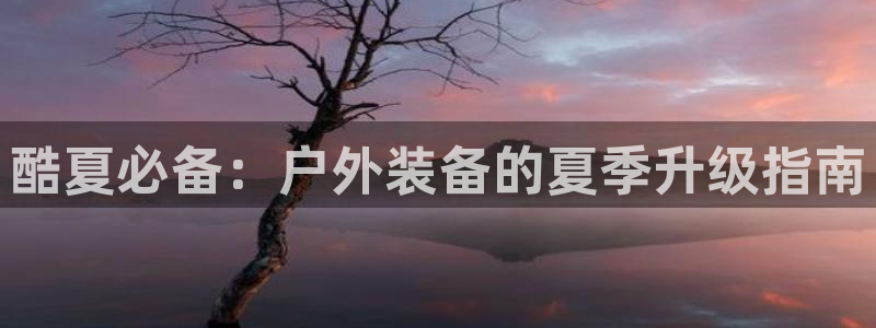 新宝gg官方下载