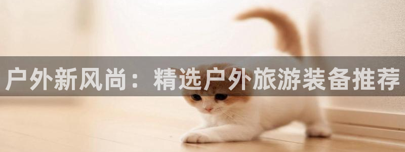 下载新宝gg怎么下载
