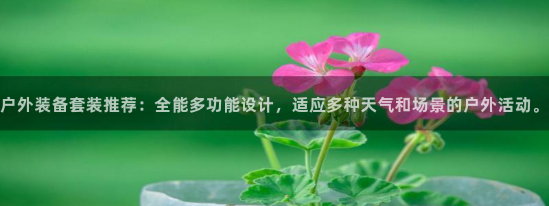 新宝gg龙虎规则