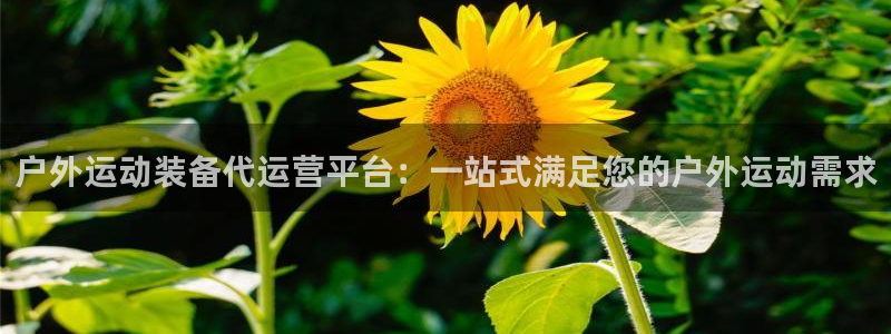 新宝gg怎样代理