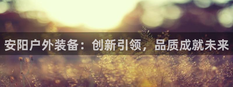 新宝GG最高返点多少