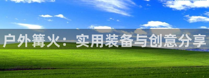 新宝gg登录页面