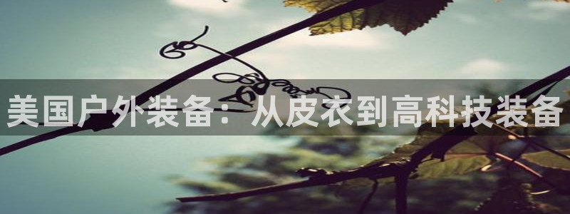 新宝GG网页