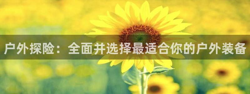 新宝gg创造