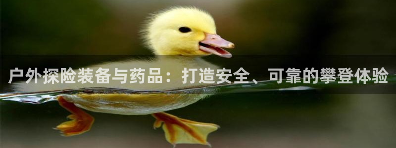 新宝gg主管 9