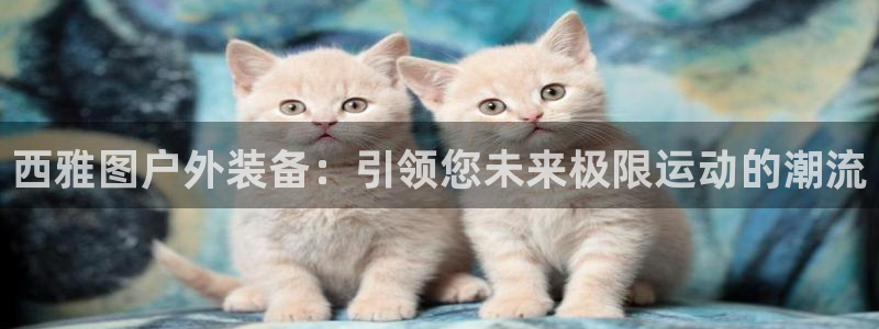 新宝gg在哪开户