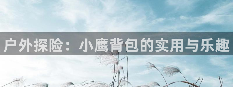 新宝gg刷流水