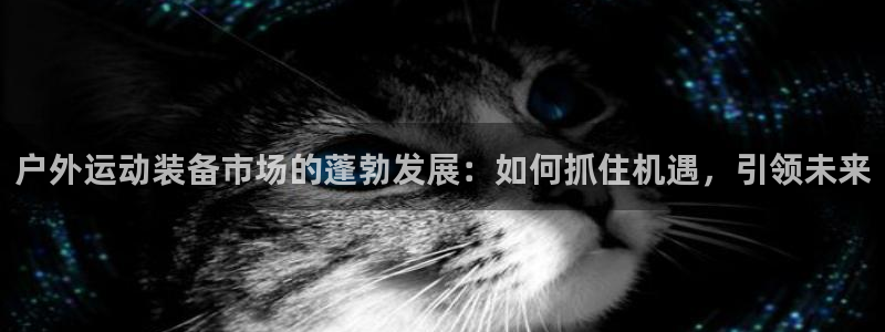 新宝gg用哪个浏览器