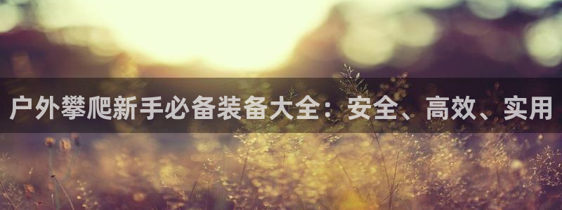 新宝gg__