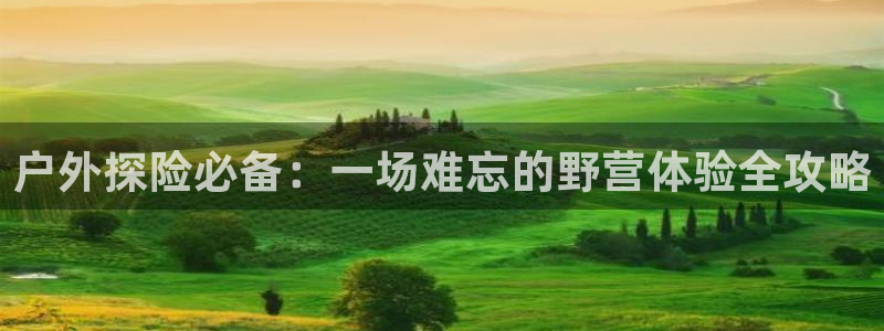 新宝gg样