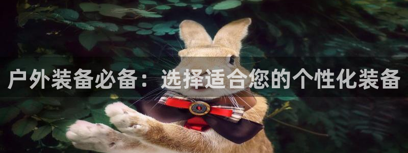 新宝gg 创造
