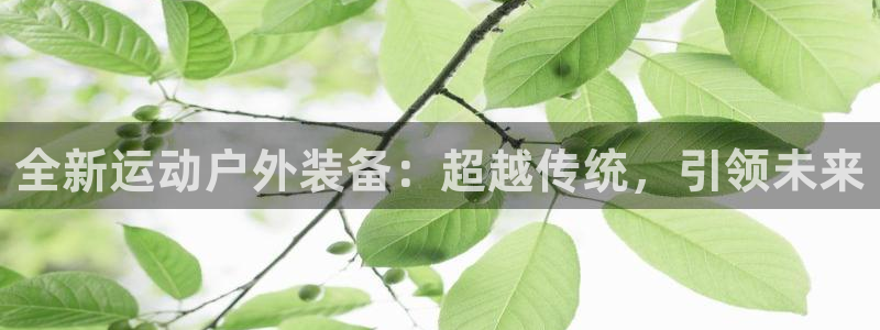 旧版新宝GG