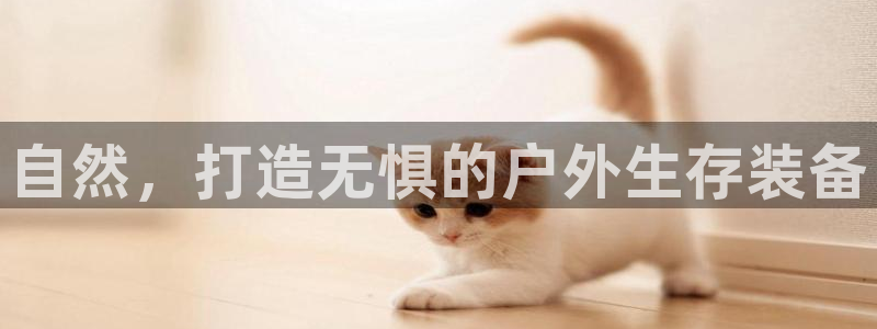 新宝GG娱乐-上皇巢网