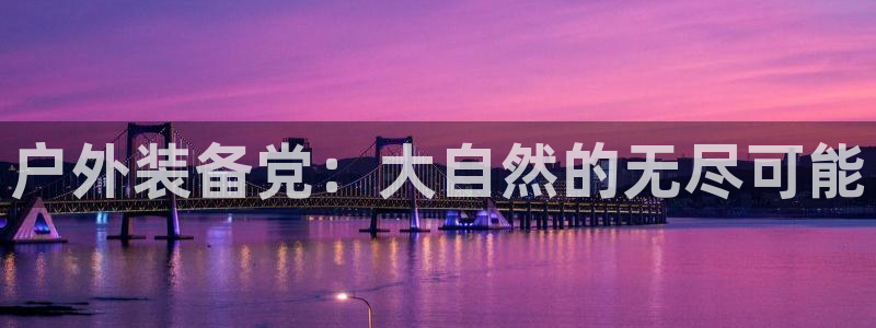 新宝gg平台反水