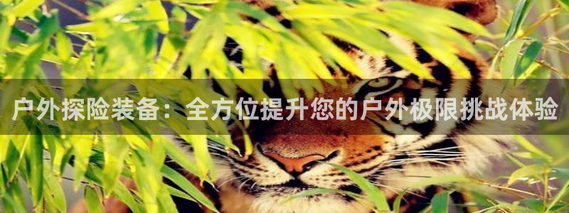 新宝gg佣金