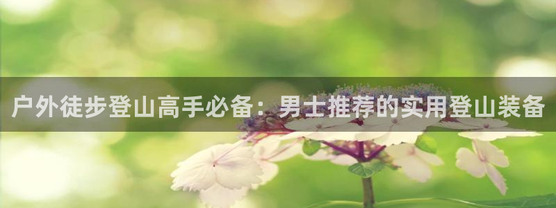 新宝 gg 总代理