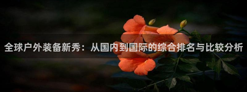 新宝gg信息