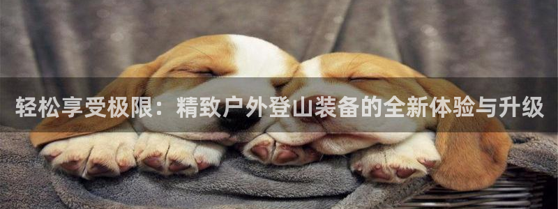 太阳gg和新宝gg