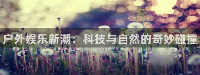 新宝GG—创造奇迹