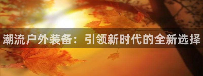 新宝gg网