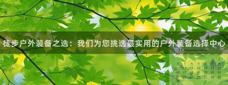 新宝gg 创