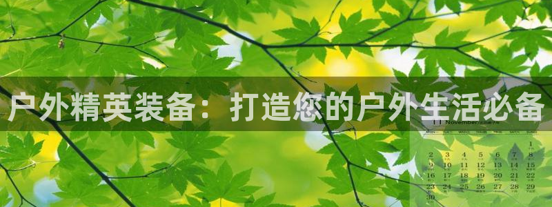新宝gg开户