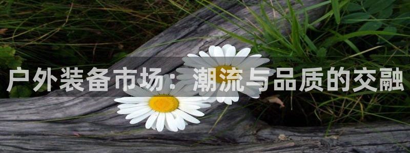 新宝一gg测速