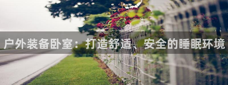 怎么代理新宝gg