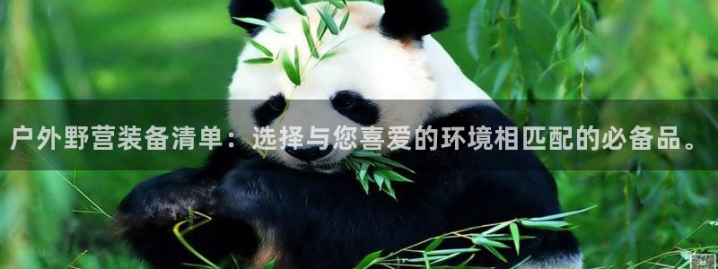 新宝gg主管_