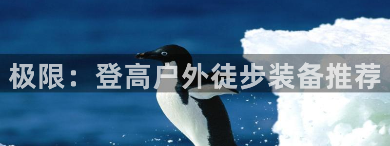 新宝gg吧